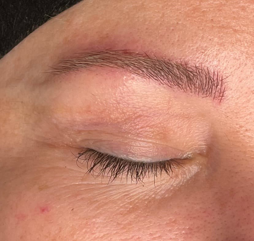 Macro of a healed combination brow on a closed eye — hair-stroke definition blended into soft powder shading, light skin, real client